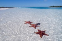 Escapada a los cayos de Cuba